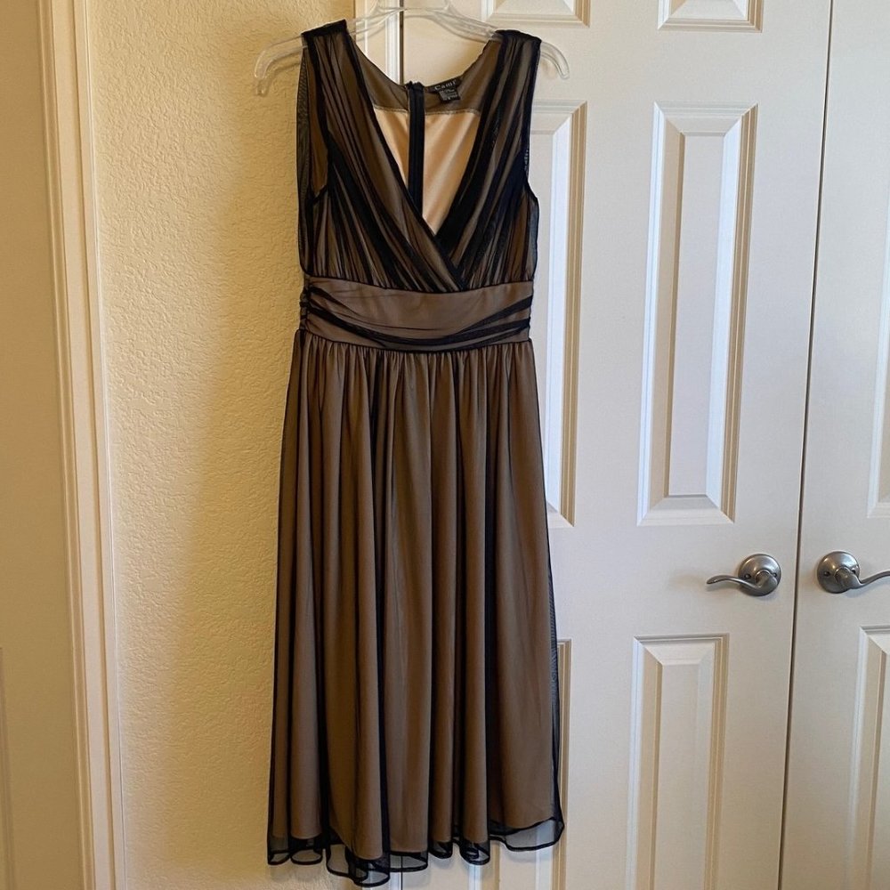 Elegant Black and Beige Dress